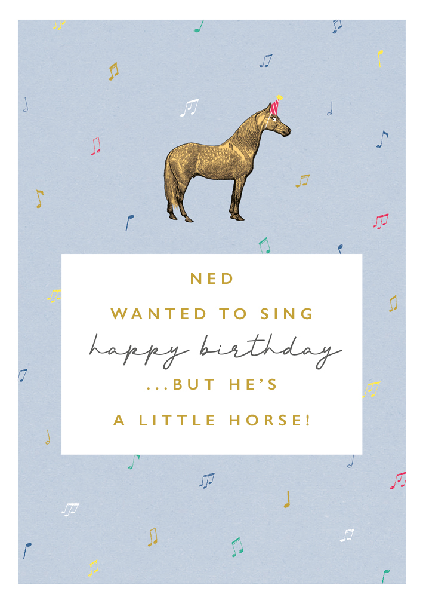 A Little Horse Birthday Card