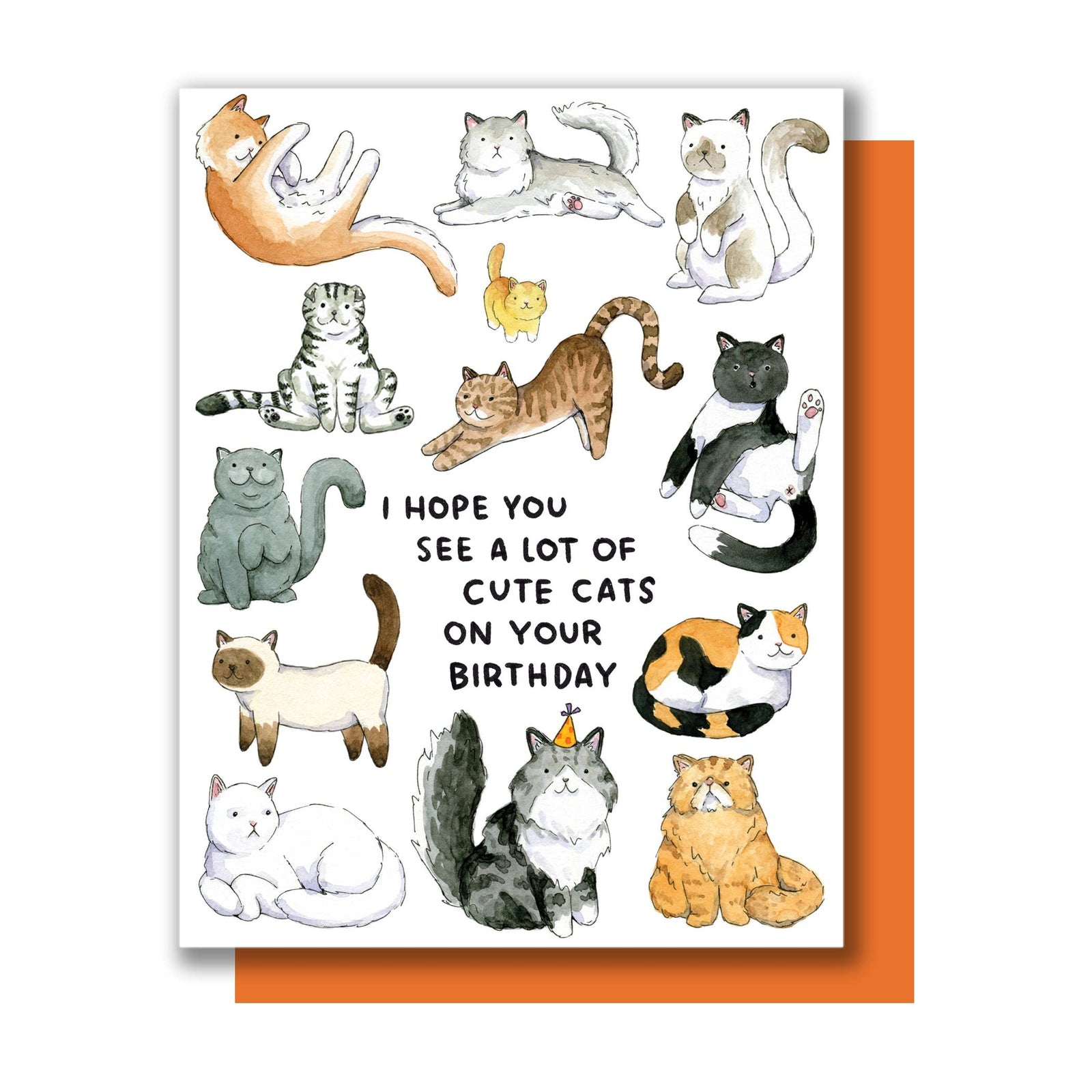 Cute Cats Birthday Card