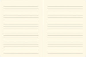 Axolotls Midsize Journal