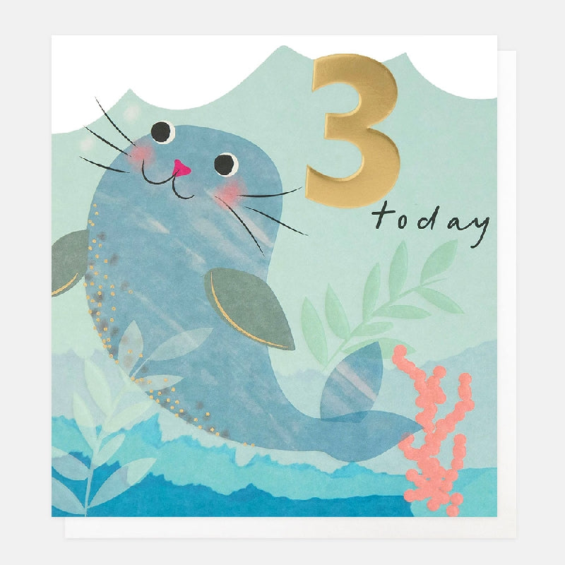 3 Today Seal Age Birthday Card