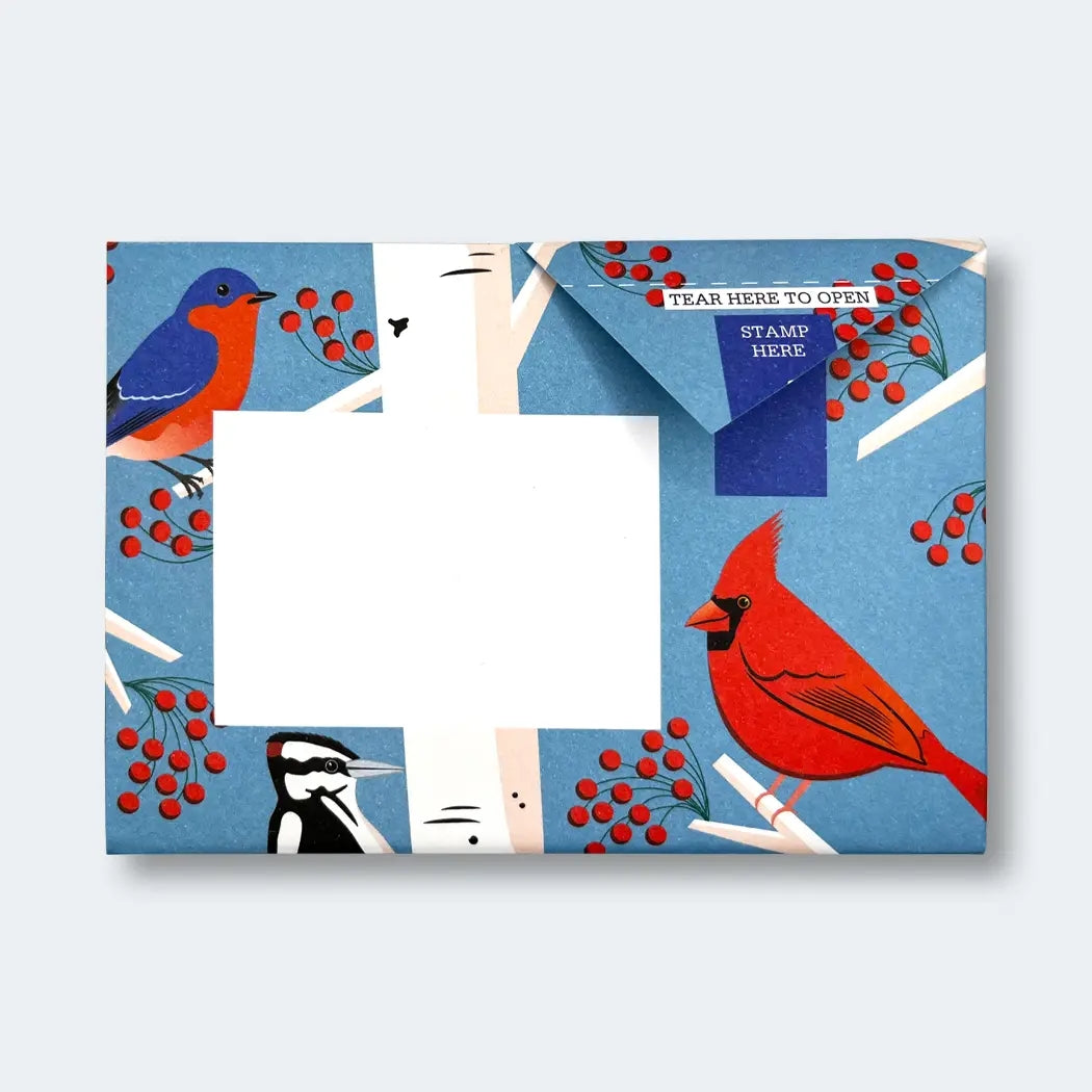 Carnival Of Colour Letter Set