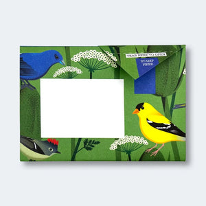 Carnival Of Colour Letter Set