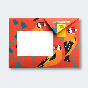 Dawn Chorus Letter Set