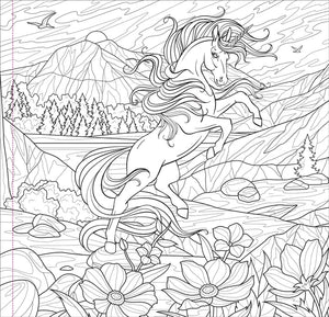 Enchanted Kingdom Colouring Book