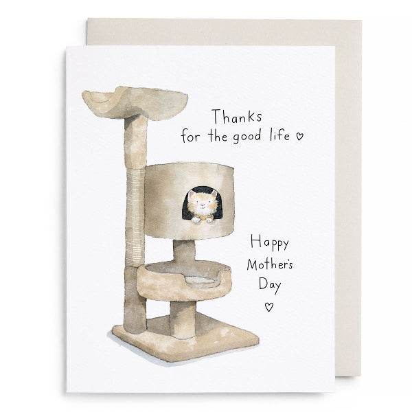 Cat Condo Mother's Day Card