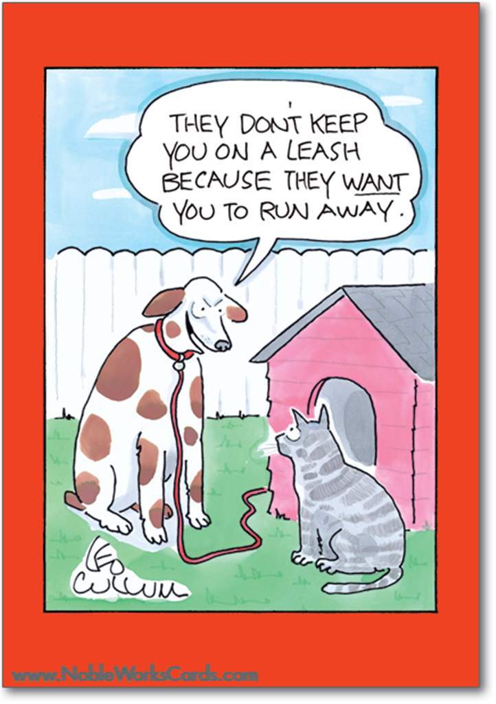 Greeting card featuring an illustration of a dog and a cat in a garden setting. The dog wears a leash and sits across from the cat who is beside a pet house. The text 'They don't keep you on a leash because they want you to run away.' is printed in a speech bubble over the dog. The image sits inside a black border on top of a red background. 
