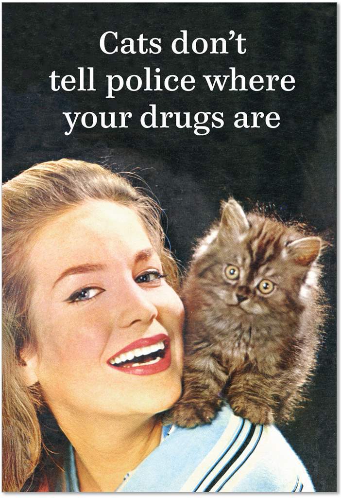 Cats Don't Tell Police Birthday Card