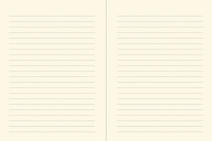 Orange Fairy Midsize Journal