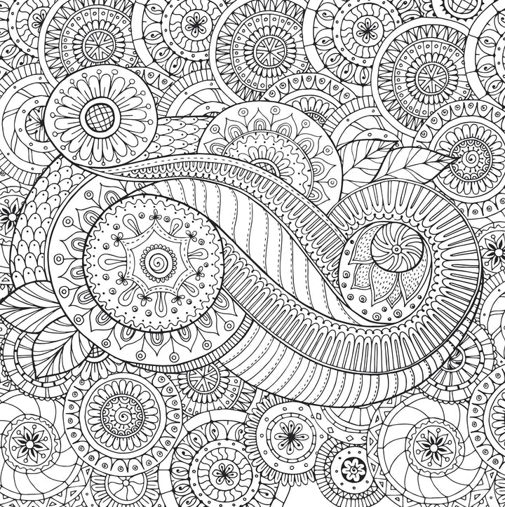Peaceful Paisleys Colouring Book