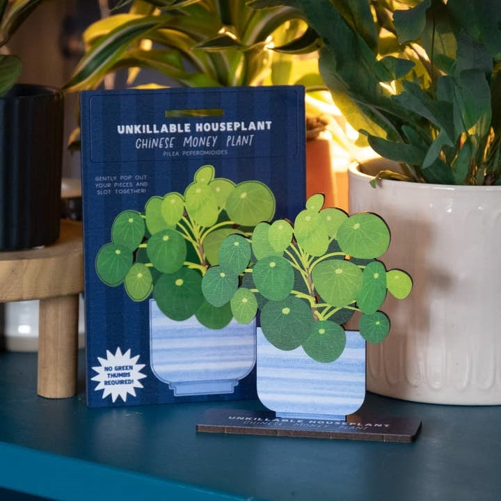 Dapple & Dot Wooden Pop Out Card | Unkillable Chinese Money Plant