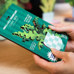 Dapple & Dot Wooden Pop Out Card | Fishbone Cactus