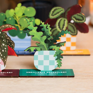 Dapple & Dot Wooden Pop Out Card | Fishbone Cactus
