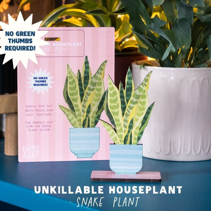 Dapple & Dot Wooden Pop Out Card | Unkillable Snake Plant