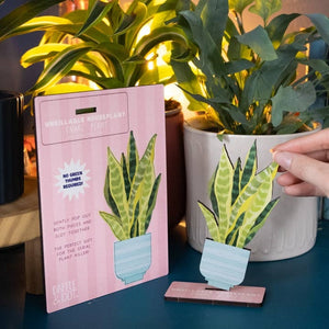 Dapple & Dot Wooden Pop Out Card | Unkillable Snake Plant