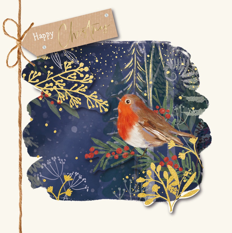 Winter Robin Christmas Card