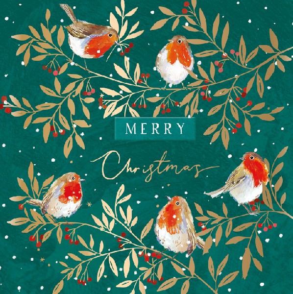 Ling Boxed Christmas Cards - Pack of 10 | Christmas Robins