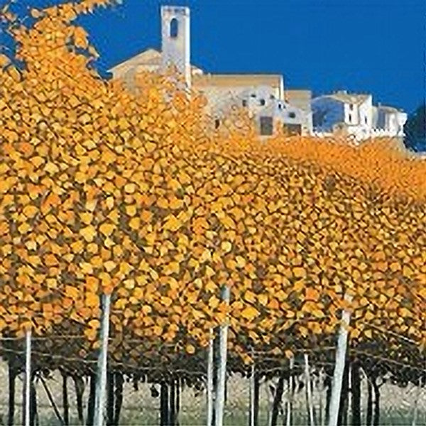 Autumn Vines Blank Art Cards