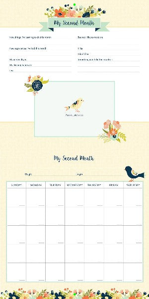 My Life As A  Baby: A First Year Calendar (Birds)