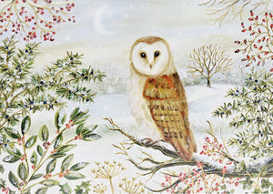 Barn Owl In Winter Deluxe Boxed Holiday Cards | Set of 20