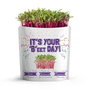 Giftagreen B'eet Day Birthday Grow Card