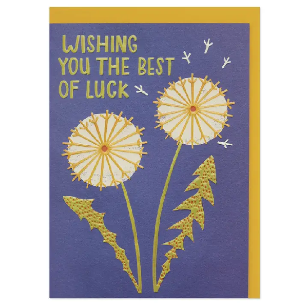 Make A Wish Good Luck Card