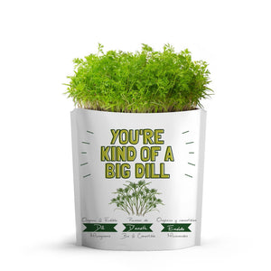 Giftagreen Big Dill Friendship Grow Card