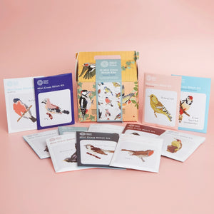 A Year Of Garden Birds Cross Stitch Kit