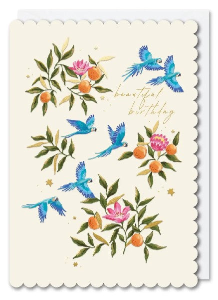 Beautiful Birds Birthday Card