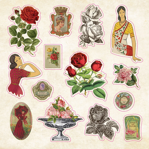 Book Of Curiosities Sticker Book