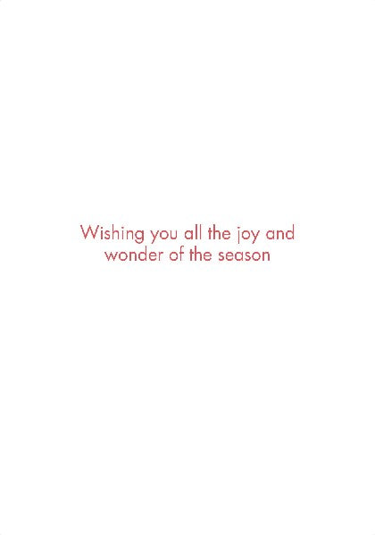 Boughs of Joy Boxed Christmas Cards