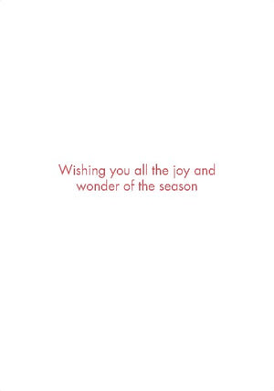 Boughs of Joy Boxed Christmas Cards