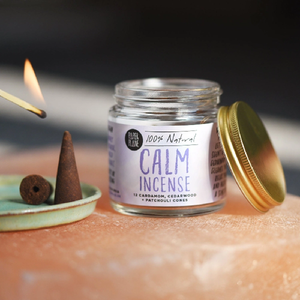 Paper Plane Incense Cones | Calm