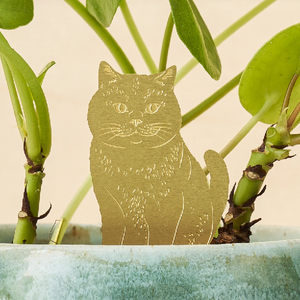 Cat Houseplant Decoration