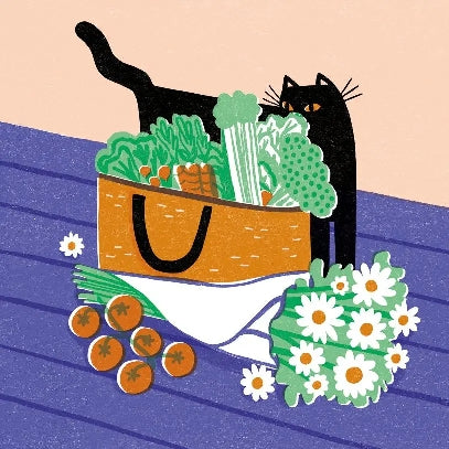 Cat With Groceries Blank Art Card
