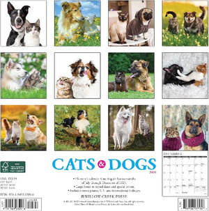 2024 Wall Calendar | Cats & Dogs