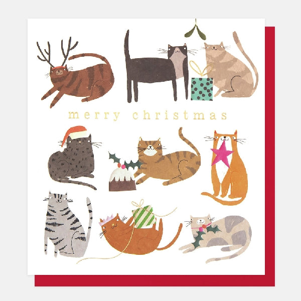 Cats Christmas Card