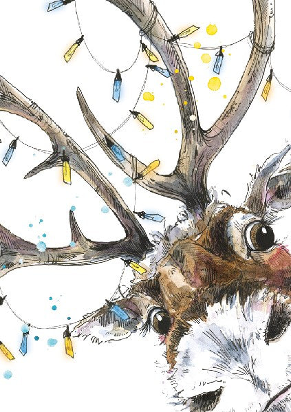 Closeup Reindeer Christmas Card