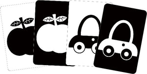 What Does Baby See? Flash Cards Set