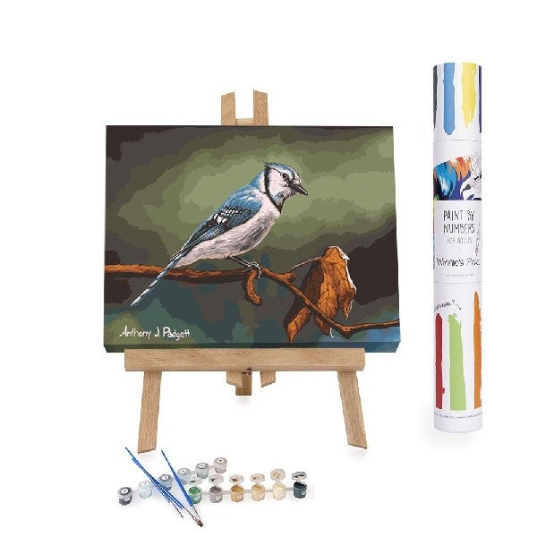Curious Blue DIY Paint By Numbers Kit
