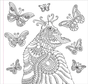 Cute & Curious Cats Colouring Book