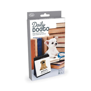 Fred & Friends Desk Item | Daily Doggo