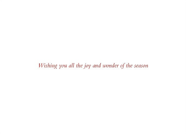 Deck The Halls Boxed Christmas Cards