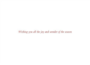 Deck The Halls Boxed Christmas Cards