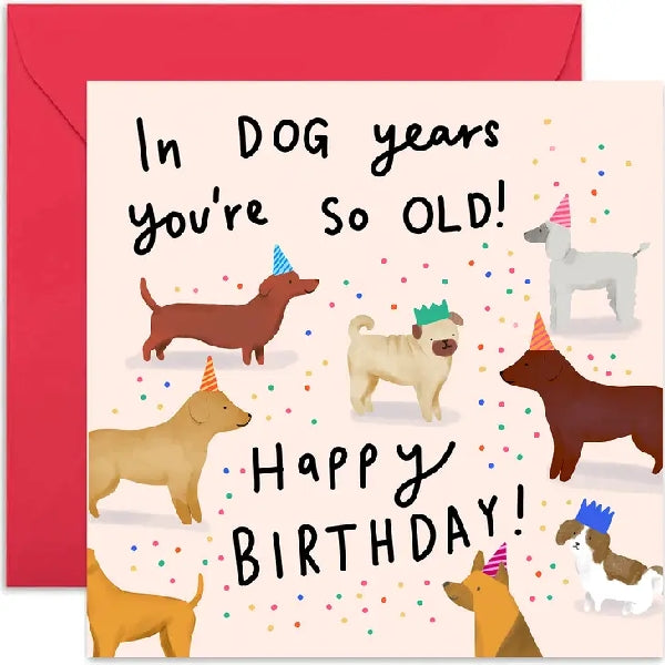 In Dog Years Birthday Card