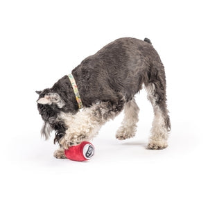 Dr Pooper Dog Toy