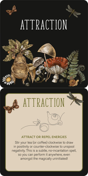 Everyday Spells For Busy Witches Insight Cards