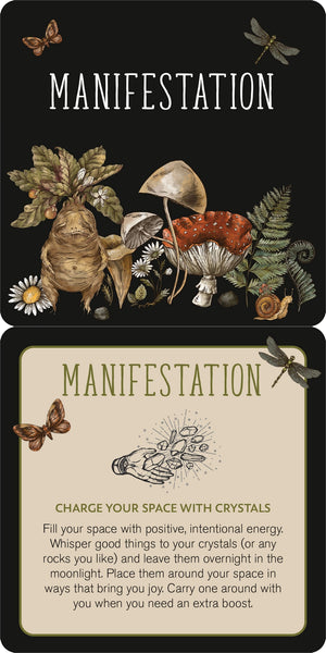 Everyday Spells For Busy Witches Insight Cards