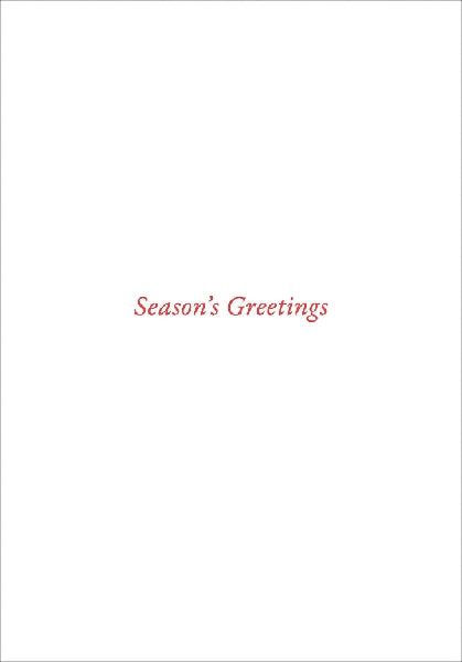Festive Boughs Mini Boxed Holiday Cards| Set Of 20