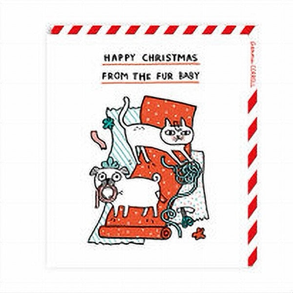 From The Furbaby Christmas Card