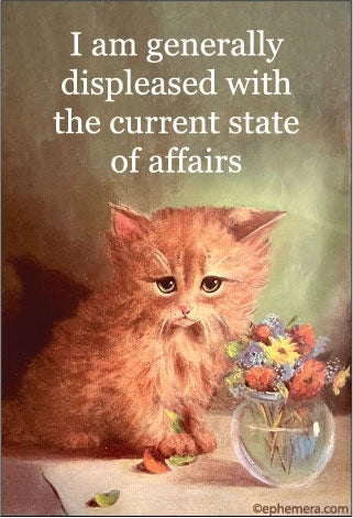 Current State Of Affairs Magnet